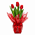 Românticas Tulipas Plantadas - Imagem 1