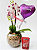 Mini Orquídea Semi Alba Com Chocolate Lindt 75 G e Balão - Imagem 1