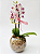 Mini Orquídea Semi Alba Com Chocolate Lindt 75 G e Balão - Imagem 2