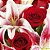 Luxuoso Vaso de Lírios com Rosas - Imagem 2