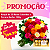 Buquê de 20 Rosas Coloridas & Ferrero Rocher - Imagem 3