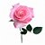 Botão de Rosa Na Cor Rosa - Imagem 1