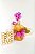 Luxuosa Orquídea Phalaeonopolis Cascata Pink com  Chocolate - Imagem 1
