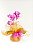 Luxuosa Orquídea Phalaeonopolis Cascata Pink com  Chocolate - Imagem 2