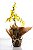 Orquídea Chuva de Ouro - Imagem 2