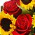Luxuosos Girassóis e Rosas Vermelhas com Ferrero Rocher - Imagem 3
