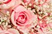 Luxuoso buquê de rosas colombianas na cor rosa - Imagem 2