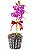 Orquídea Dendrobium - Imagem 3