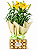 Lírio Amarelo Plantado & Ferrero Rocher 150g - Imagem 1