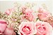 Buquê de 6 Rosas Colombianas Rose - Imagem 4