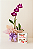 Orquídea Denphal com Chocolate - Imagem 2