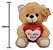 Urso de Pelúcia "Eu Amo Você" – Coleção Fizzy (20cm) - Imagem 3