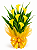 Copos-de-Leite Amarelos Premium - Imagem 1