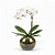 Orquídea Phalaenopsis Branca no Vaso de Vidro - Imagem 2
