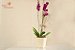 Luxuosa orquídea phalaenopsis exótica com 02 astes - Imagem 4