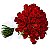 Buquê de 36 Rosas Vermelhas - Imagem 1