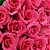 Buquê 20 Rosas Pink Minimalistas - Imagem 3