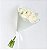 Buquê de 24 Rosas brancas - Imagem 3