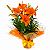 Lírio Laranja Plantado - Imagem 3