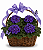 Surpresa de violetas Roxas - Imagem 3