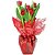 Tulipa Plantada Especial - Imagem 3