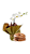 Orquidea Branca com Bolo de Chocolate - Imagem 3