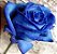 Arranjo de Rosas Azul no vaso de vidro - Imagem 3