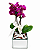 Mini Orquídea Rara Pink No Vaso Espelhado - Imagem 3
