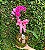 Mini Phaleonopsis No Vaso de Vidro - Imagem 3