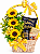 Cesta Flores do Sol & Lindt 200g - Imagem 1