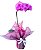 Orquídea Pink Phaleonopsis Com VInho Casillero Del Diablo - Imagem 2