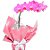 Orquídea Pink Com Vinho Tinto Reservado - Imagem 2