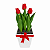 Tulipa Vermelha No Cachepô Decorado - Imagem 1