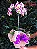 SOFISTICADA ORQUÍDEA EXÓTICA 3 EM 1 - Imagem 3