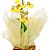 Mini Orquídea Chuva de Ouro - Imagem 2
