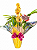 Luxuosa Orquídea Cymbidium com Chocolate "eu Te amo'' - Imagem 1