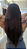 Lace Front Fibra Premium Gogo Girl GL 100 Mechas Marsala - Imagem 4