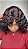 Peruca Miolo Lace Cabelo Humano Camila Lux Preta - Imagem 4