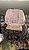Peruca Lace Front Cabelo Humano Cacheado Sofia 13 - Imagem 7