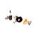 Engrenagem Reparo - MP (Robot Coupe) - Imagem 3