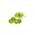 Disco Fatiar 5mm Expert Mineral+ (Robot Coupe) - Imagem 2