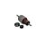 Circuito Induzido do Motor - MP550 (Robot Coupe) - Imagem 1