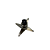 Mancal Central Com Rolamento - LB / LAR / LS (Skymsen) - Imagem 4