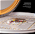 Plafon LED Kenle  redondo - 36W - Dourado Fosco com 3 cores de luz -2665 - Nordecor - Imagem 6