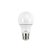 Lâmpada LED Bulbo A60 E27 15W 6500K 1250lm Bivolt - Imagem 1