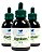 Kit 3x Tintura de Algodoeiro 100ml - FARMÁCIA AQUIMIA MANIPULAÇÃO - Imagem 1