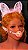 Kit fox 5 em 1 - Imagem 3