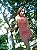 Vestido - Imagem 1
