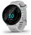 Smartwatch Garmin Forerunner 55 (White) - Imagem 1