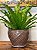 Cachepot em Ceramica - Marrom - 20CM - Imagem 1